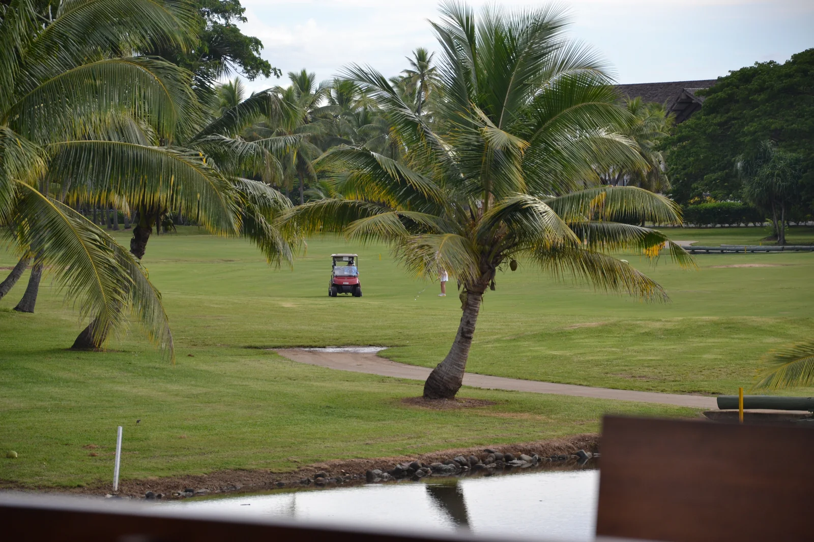 Palm trees, a golf buggy and a water hazard at Denarau Golf Course in Fiji